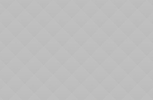 04 10 Ways to Engage Your Dog Indoors