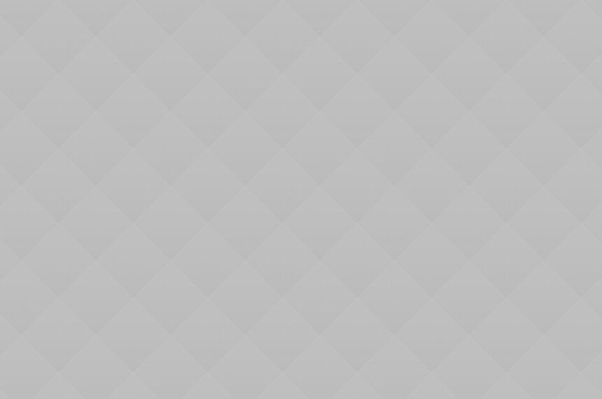 Pet Adoption: How To and What For?