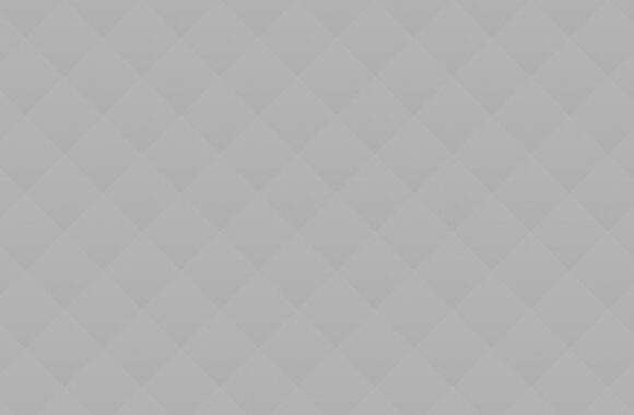 05 How to: Safely Bring Home Shelter Dog