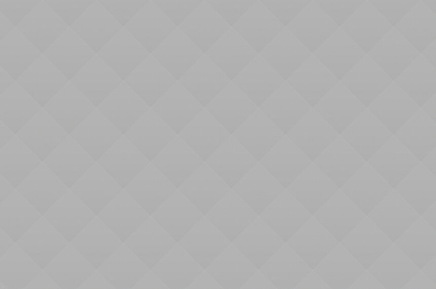 Pet Adoption: How To and What For?